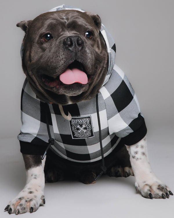 DOG HOODIE - GRINGO